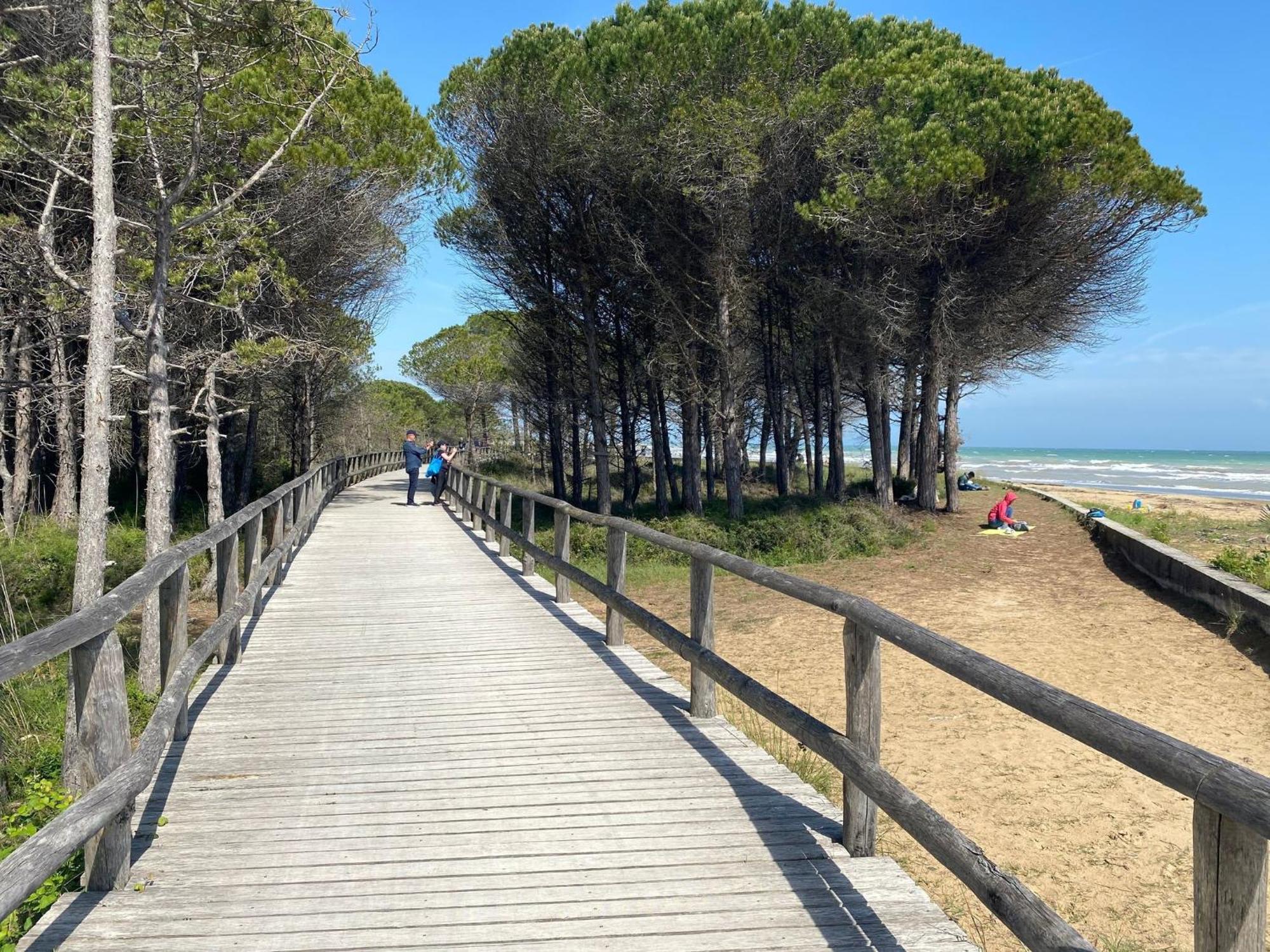 With Huge Swimming Pool And Solarium Bibione